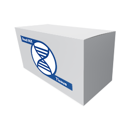 Bead Mill Tissue DNA Purification Kit