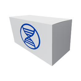 DNA Purification Kits