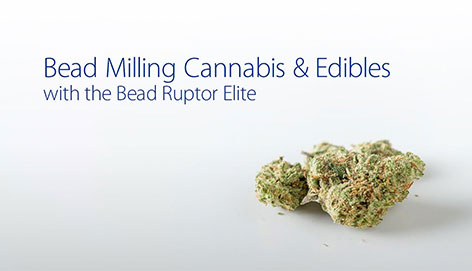 Bead Milling Cannabis & Edibles Bead Ruptor Elite
