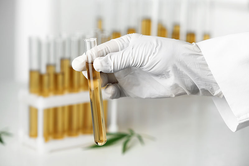 cannabis potency testing and quality control