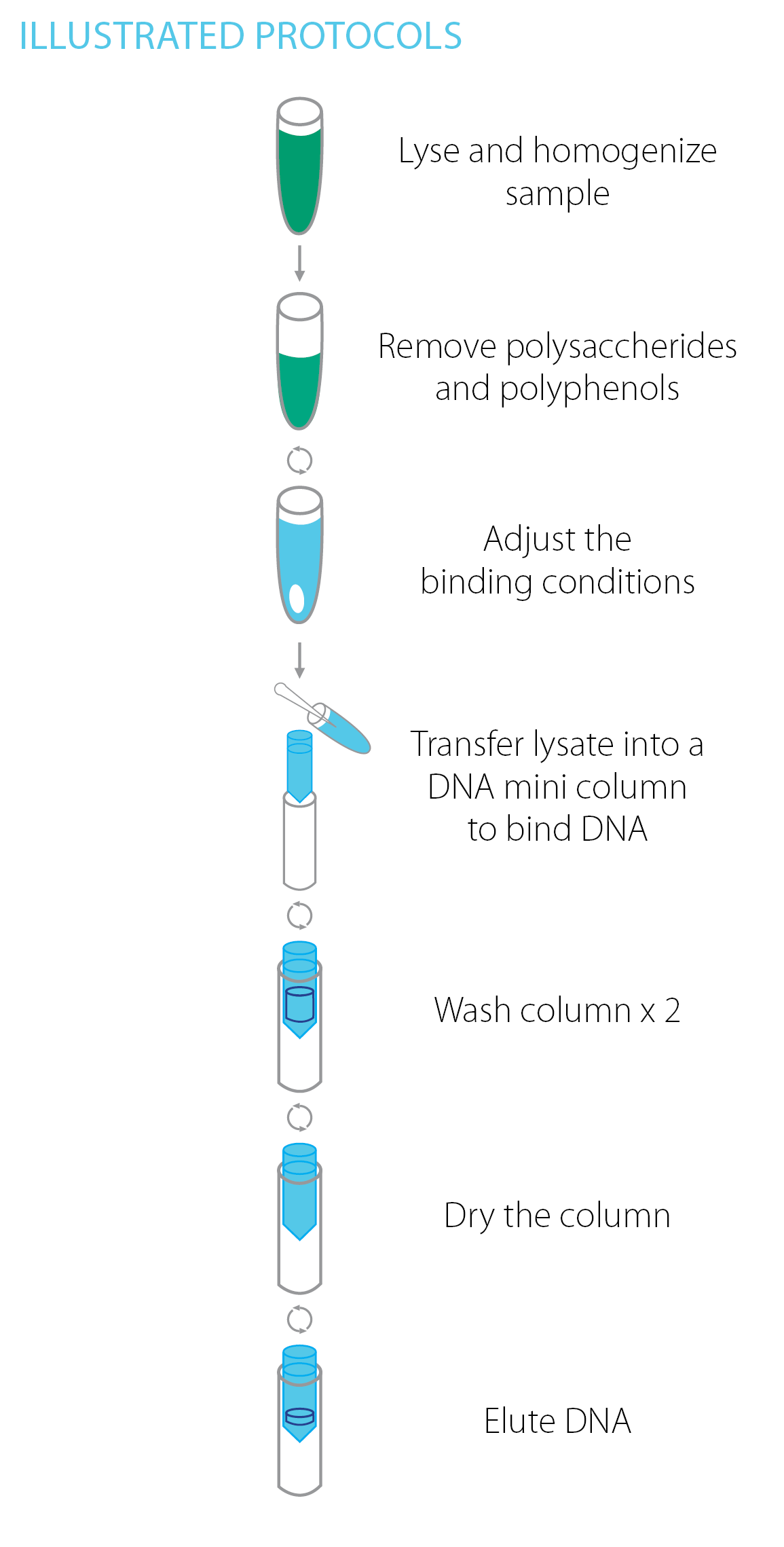 Illustrated Plant DNA Kit Protocol